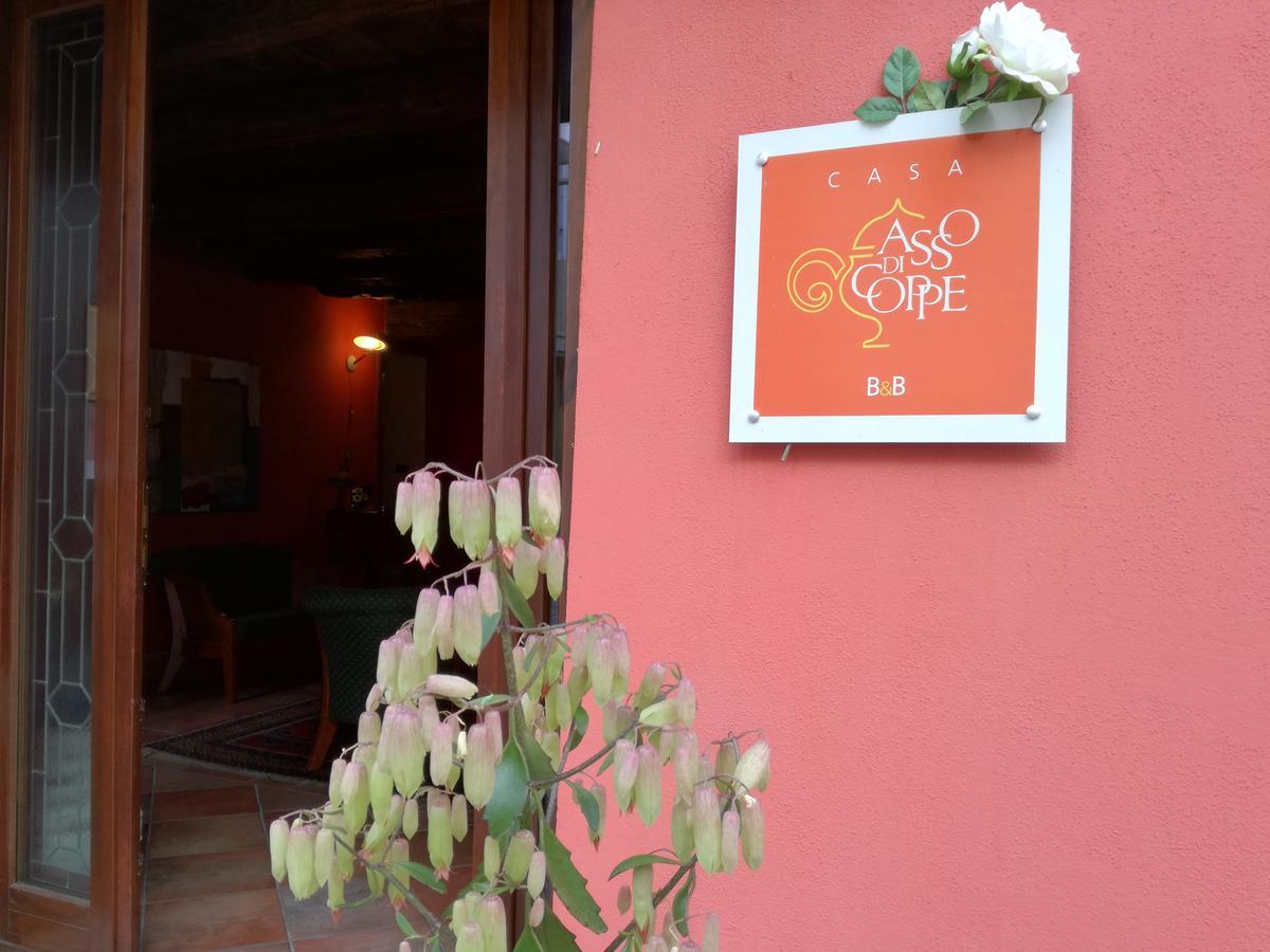 Casa Asso Di Coppe B&B Alba  Exteriér fotografie