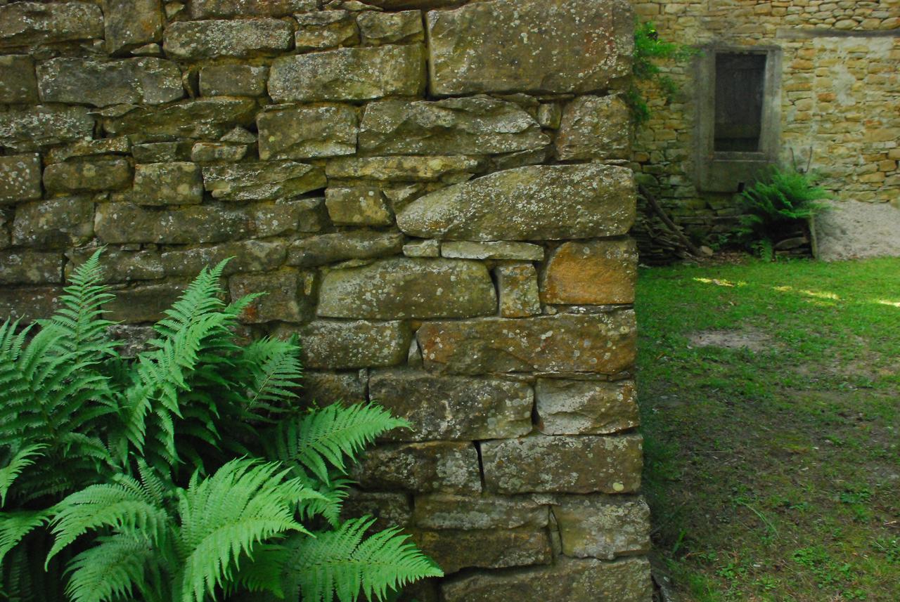 Casa Asso Di Coppe B&B Alba  Exteriér fotografie